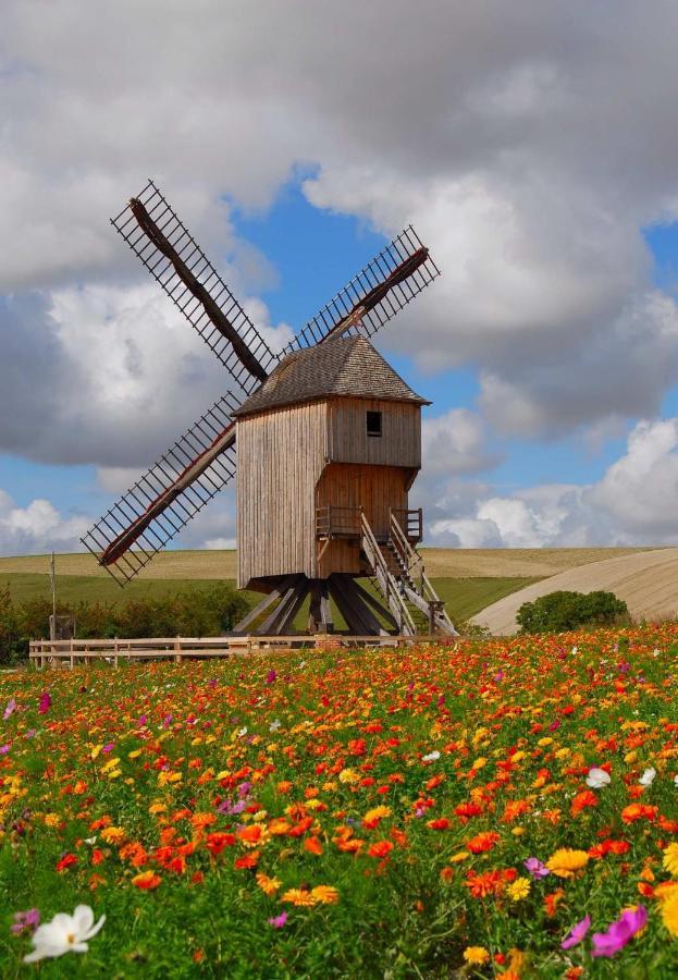 Chambre D'Hotes Des P'Tits Bonheurs Dosches Exteriér fotografie